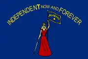 ?1861年から1865年までの旗、表面