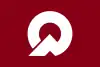 芦安村旗