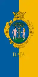 バヤの市旗