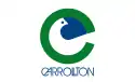 キャロルトンCity of Carrolltonの市旗