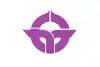 八開村旗