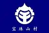 宝珠山村旗