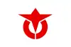 穂高町旗