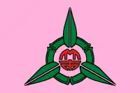 新竹市旗