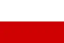ルッカの旗