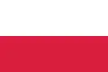 ?独立時の国旗、縦横比2:3（1919年～1928年）