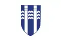 レイキャヴィークの旗
