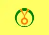 占冠村旗