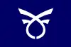 天間林村旗
