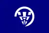 常盤村旗