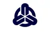 富山村旗