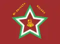 イタリアのパルチザンの第63旅団の旗(1943-1945年)