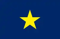 テキサスの国旗