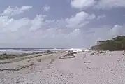フリント島の海岸