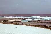 フリント島に沿うように存在する礁