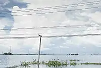 バンコク郊外の様子