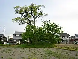井川館跡
