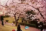 EURの湖水中央公園(ローマ)