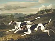 狐狩り