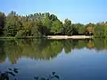 公園の池