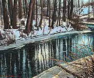 "Reflections"McMichael Canadian Art Collection