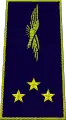 フランス空軍少将(Géneral de division aérienne)