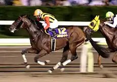 フレンドシップ（2003年産）