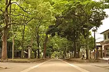 表参道