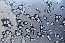 穴あき模様の窓霜