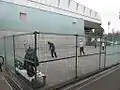 テニス