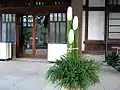 松を使用しない門松(府中市の大國魂神社)