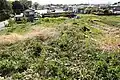 後円部から前方部を望む