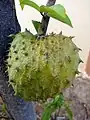 果実