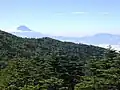 南の眺望富士山と毛無山(右)