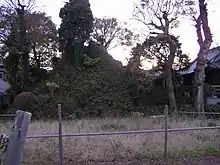 浅間神社(千葉県流山市)の流山富士
