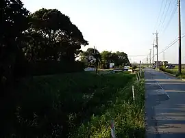 深井新田