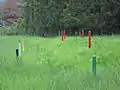 深溝断層の様子