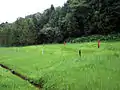 深溝断層の様子