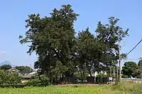 東側からの全景。