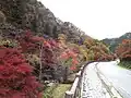 県道の南を見る