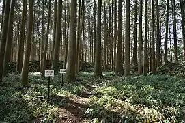 主郭と馬出
