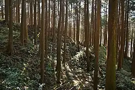 土塁と堀