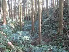 土塁と堀