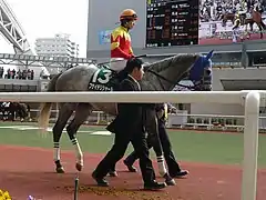 フサイチリシャール（2003年産）