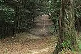 峠から西方に下る山道が、かつての街道の雰囲気を最も良く伝える。(2012年(平成24年)5月)