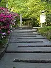 展望台への山道の様子。（2011年（平成23年）5月）