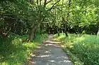 東側からの登山道の様子。（2012年（平成24年）5月）