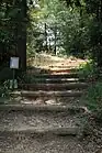二村山緑地散策路の様子。（2012年（平成24年）5月）
