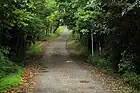 南東側からの登山道の様子。やがて砂利道となる。（2012年（平成24年）6月）