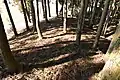 後円部から前方部を望む